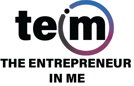 TEIM Logo
